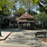 image-14_33_48-medium